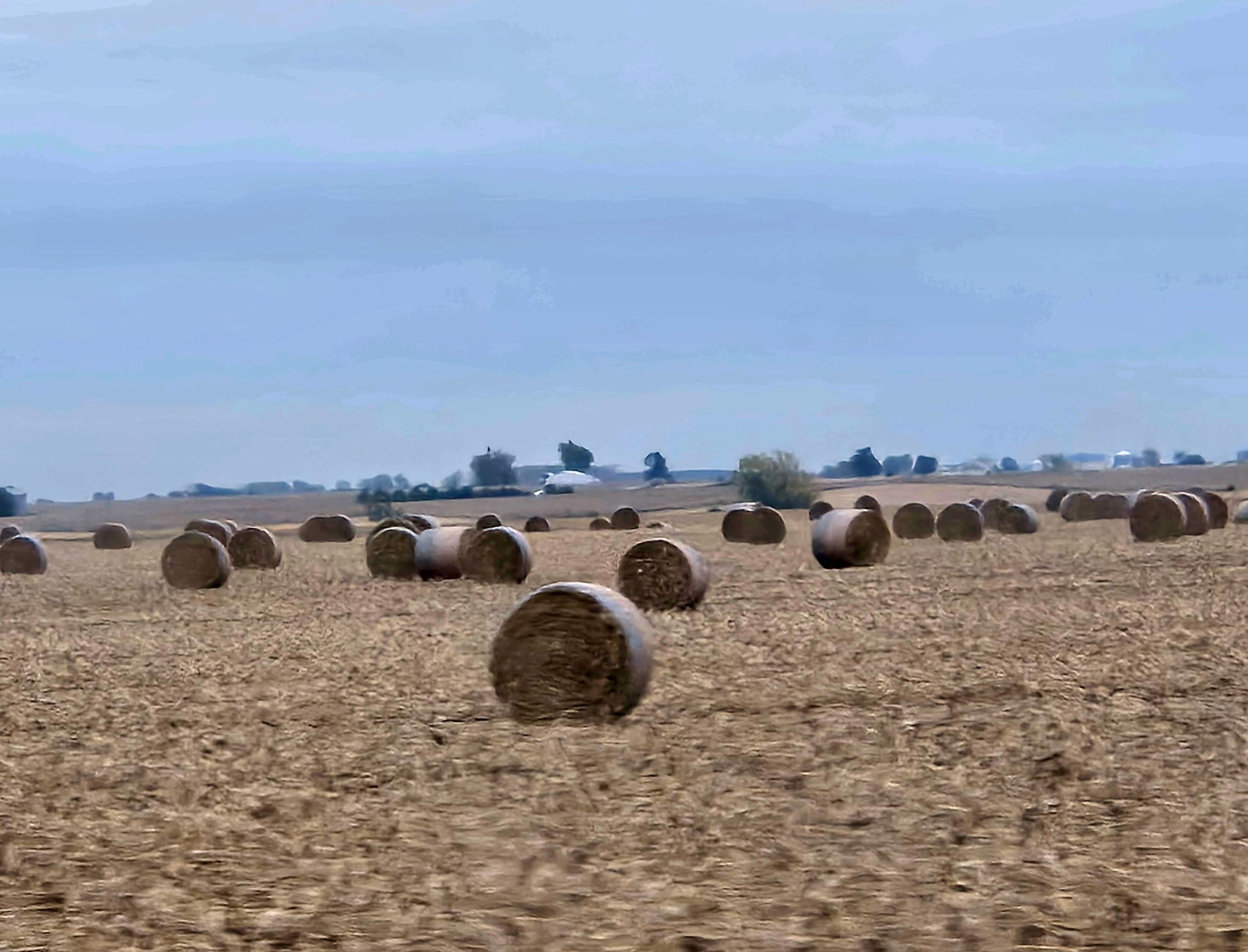 6528470811733732734 - Ryan Currens