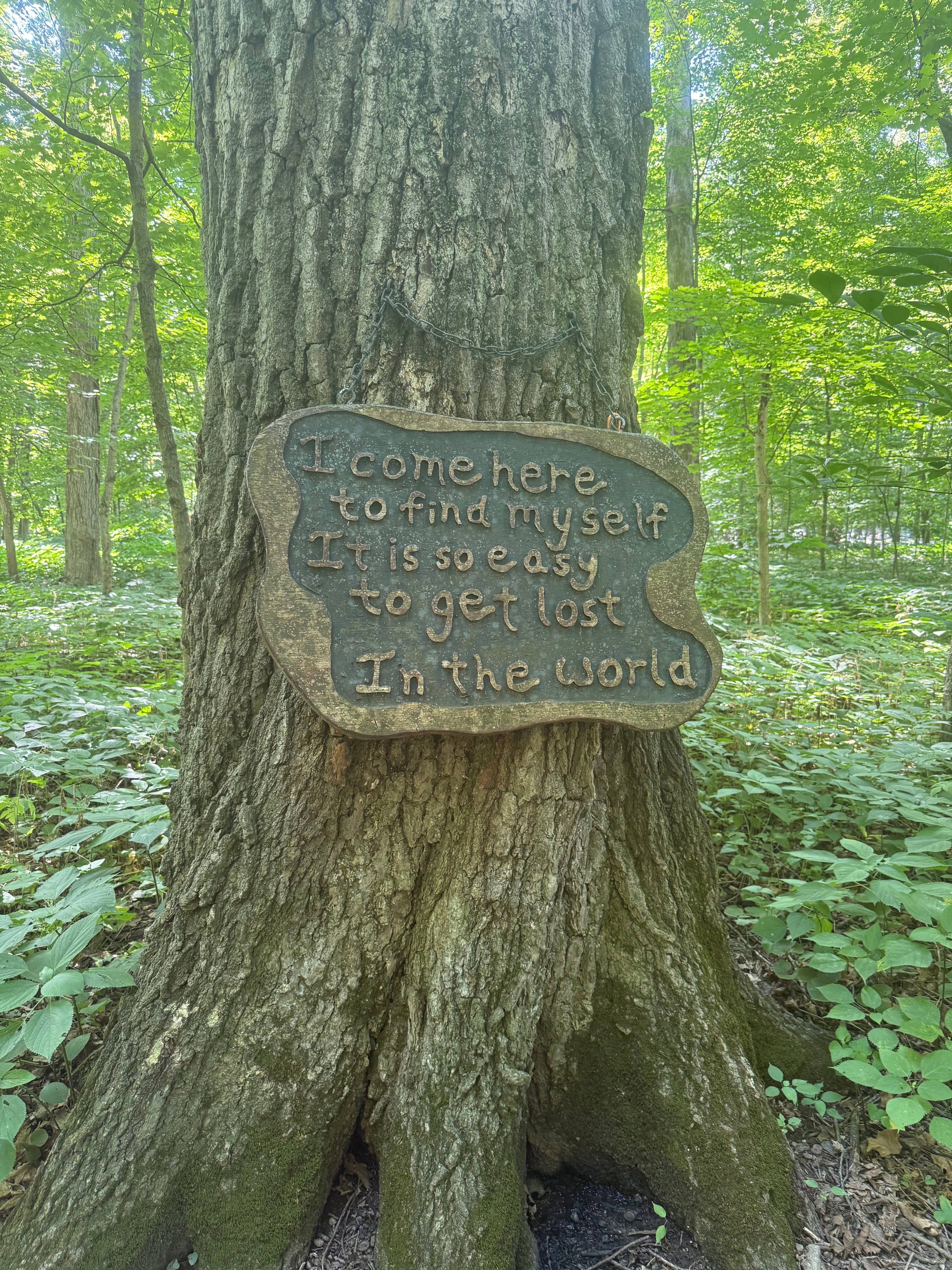 IMG_0005 - Babs Allen