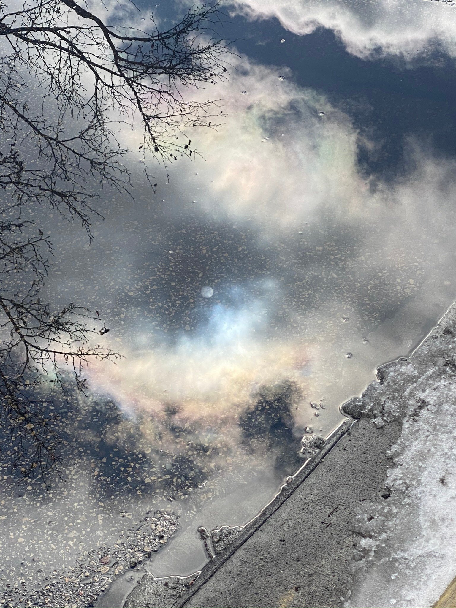 oringial - Michael Coyne